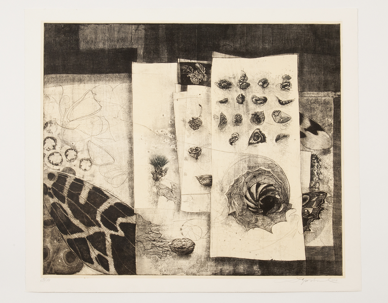 PHOTO: ©BCEE - Flavie Hengen
57. HIERSCHT, 2013,
technique mixte: vernis mou/ eau forte/ fondino, matrice cuivre 50 x 60 cm, imprimée sur papier Salland, édition 5/10