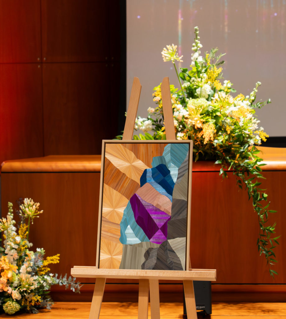 Portrait of the 2025 Winner Work: Lux_Field — ©Steven Pais