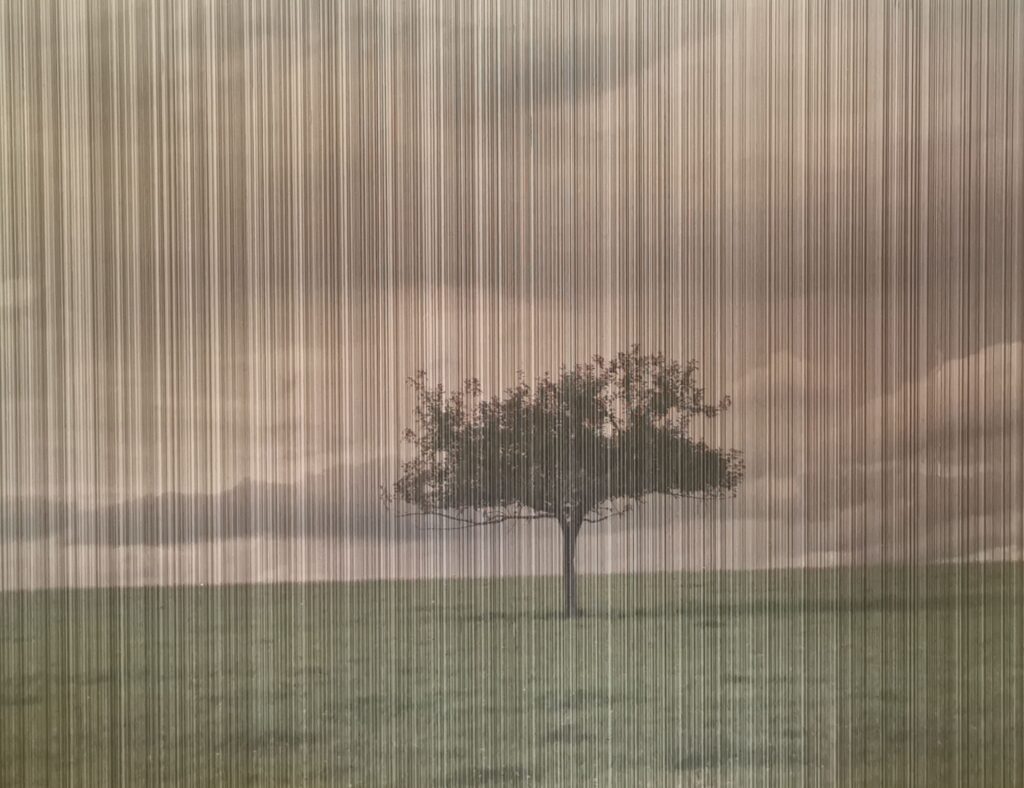©Krumhorn Tine