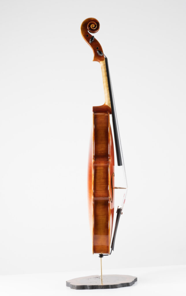 VIOLON ©Jean-Pierre REITZ