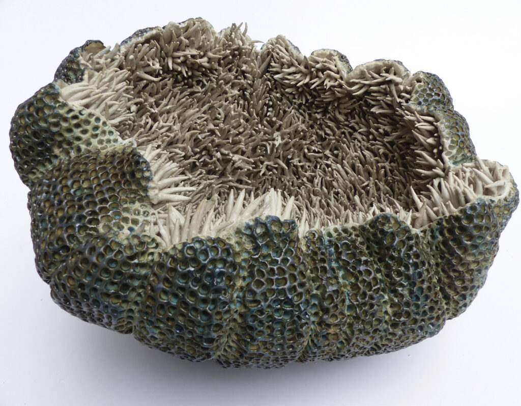 A Prickly Package ©Ellen van der Woude